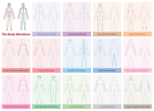 Body Meridians Chart