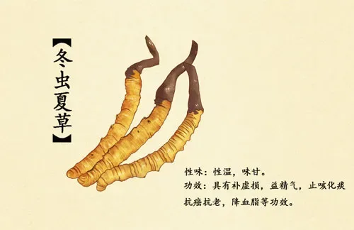 Ginseng 
