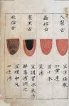 C14 Chinese tongue diagnosis chart