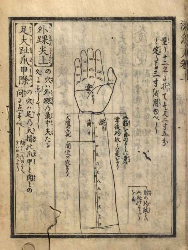 Diagram of arm