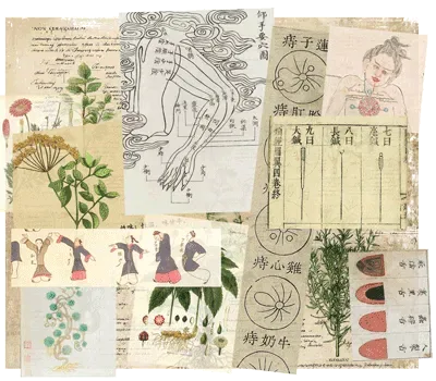Collage of illustrations of traditional healing tools and techniques