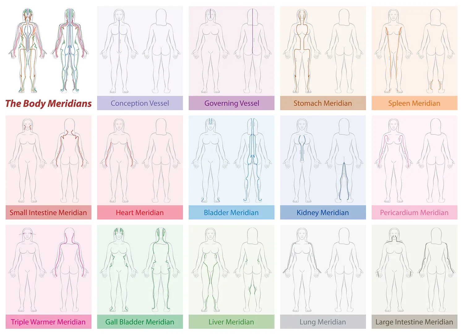 Body Meridians Chart
