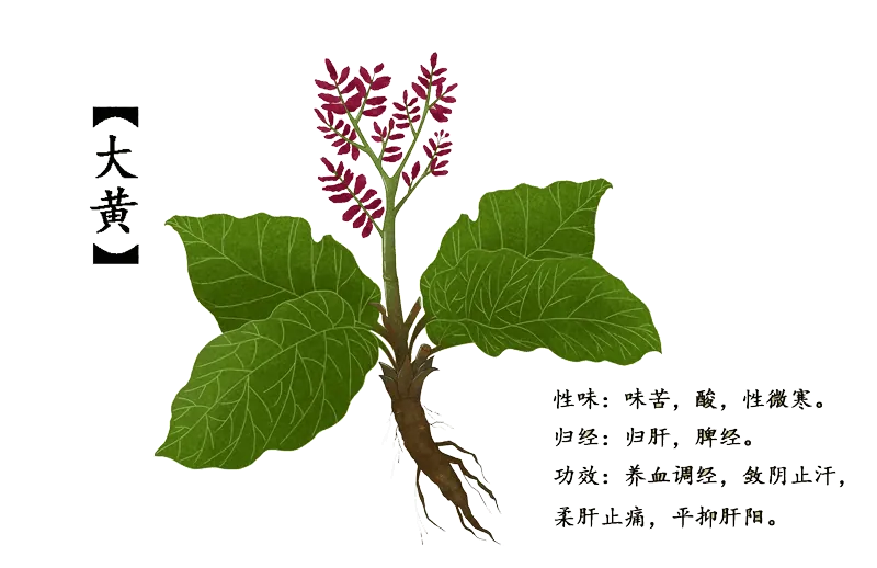 Chinese_Herbs_