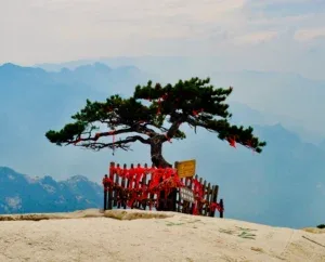 The “Great Reset” – Holiday Specials to Reclaim your Light