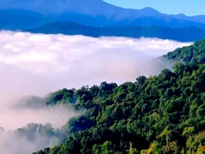 Poetic Meanderings about the Lung Function and its Meaning in Chinese Medicine