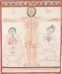 Three Tibetan anatomical figures
