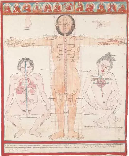 Ancient Tibetan Drawing of the human body