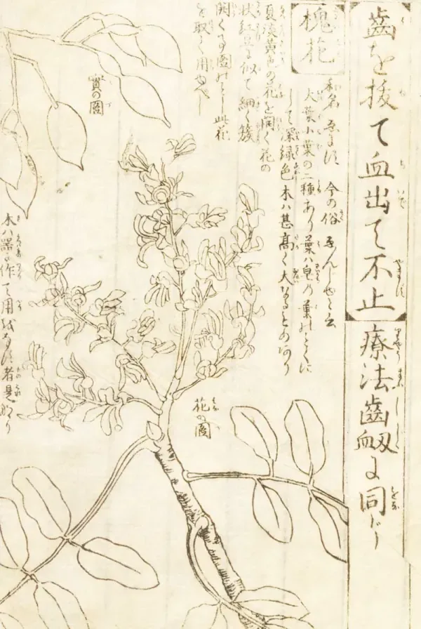 Faded Chinese sketch