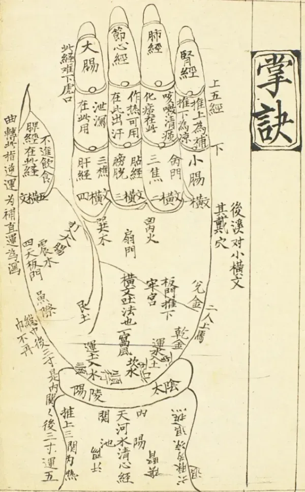 Palm Massage Chart- Drawing of Hand with Notations in Chinese